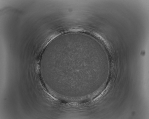 X0000095951361200801181413