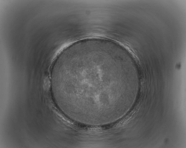 X0000095951363200801181413