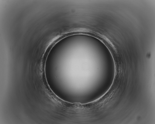 X0000095951364200801181413