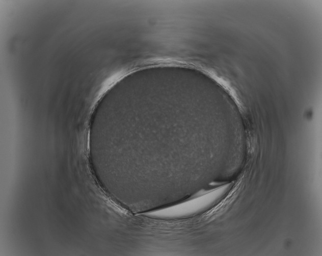 X0000095951365200801181413
