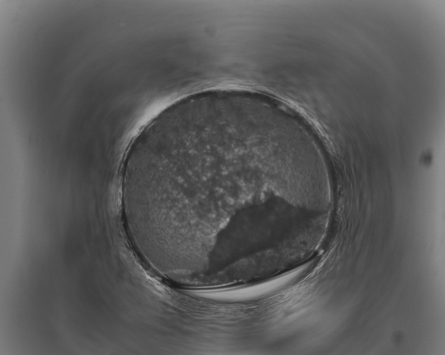 X0000095951367200801181413