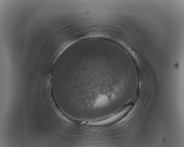 X0000095951369200801181413