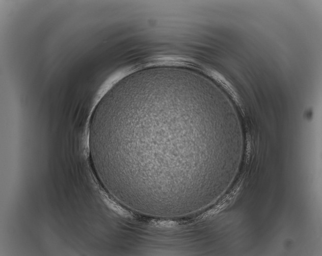 X0000095951370200801181413