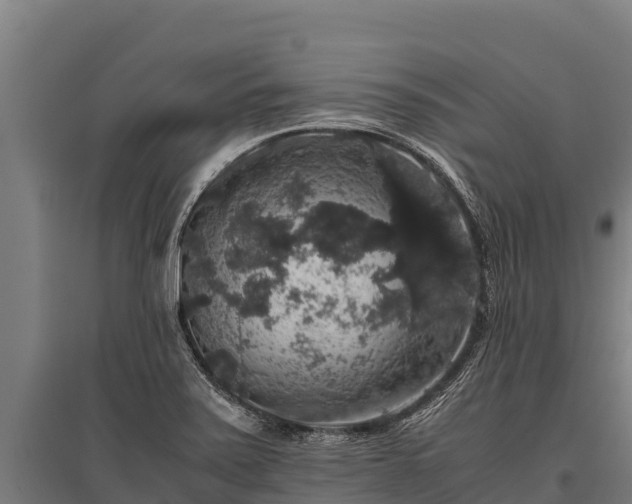 X0000095951371200801181413