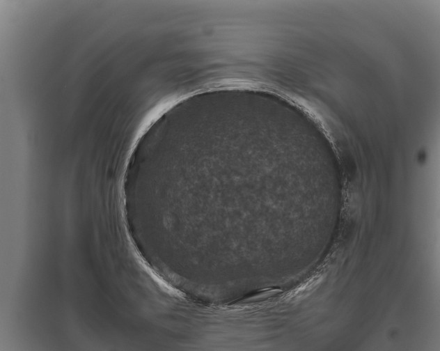 X0000095951373200801181413