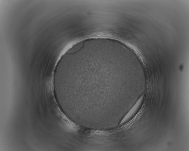 X0000095951374200801181413