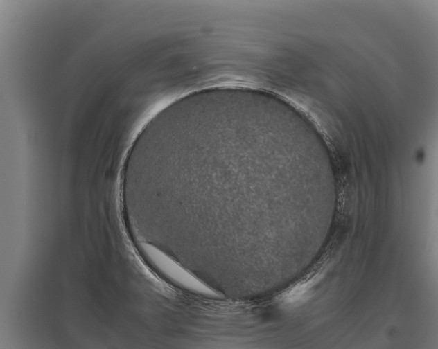 X0000095951375200801181413