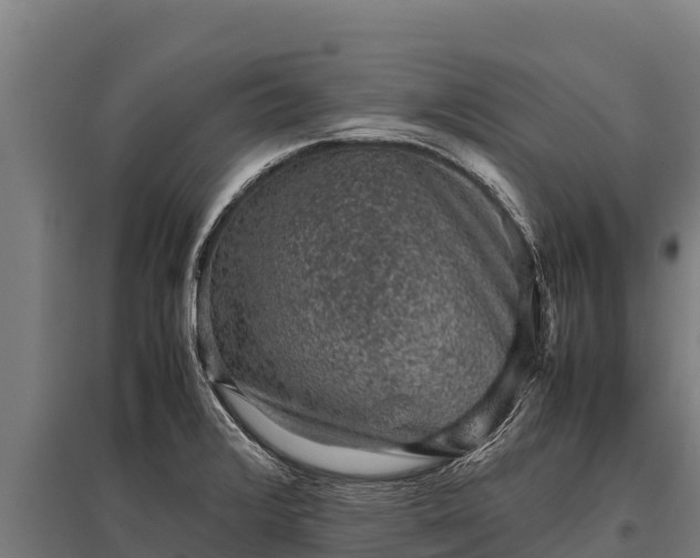 X0000095951376200801181413