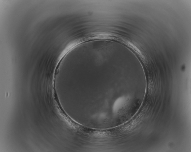 X0000095951378200801181413