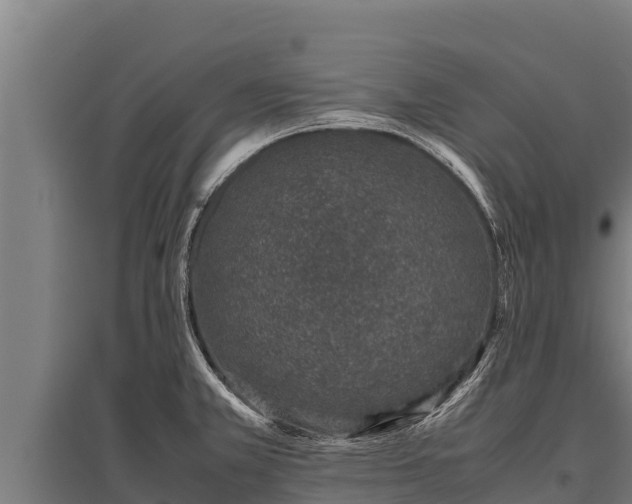 X0000095951381200801181413
