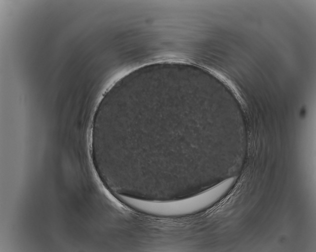 X0000095951383200801181413