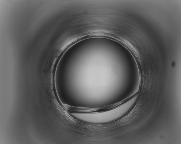 X0000095951384200801181413