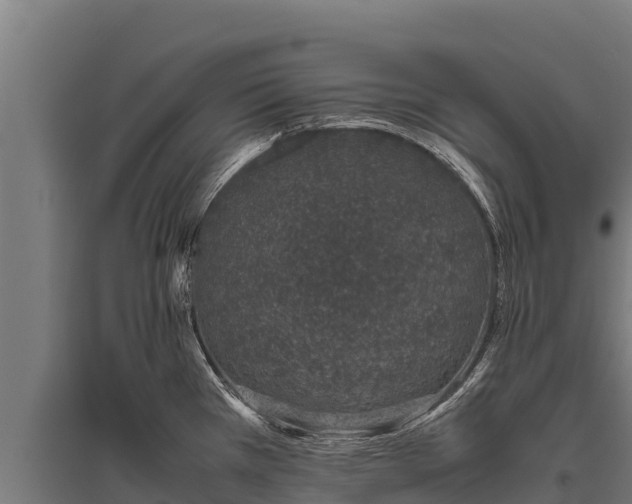 X0000095951385200801181413