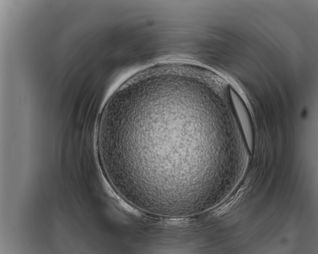 X0000095951390200801181413
