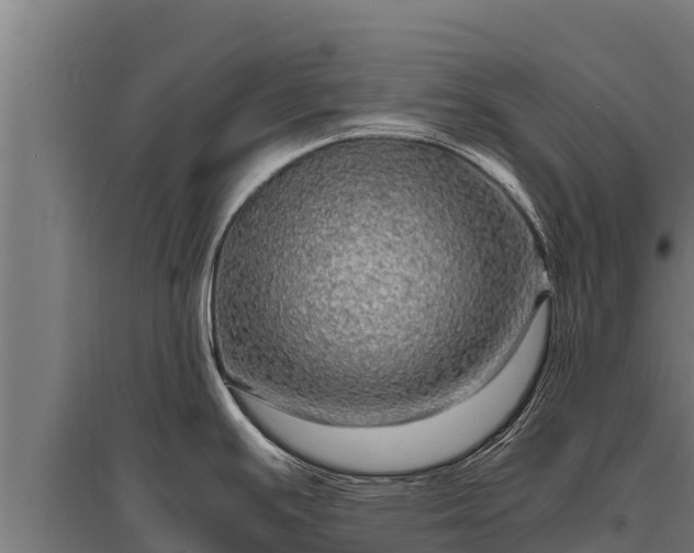 X0000095951391200801181413