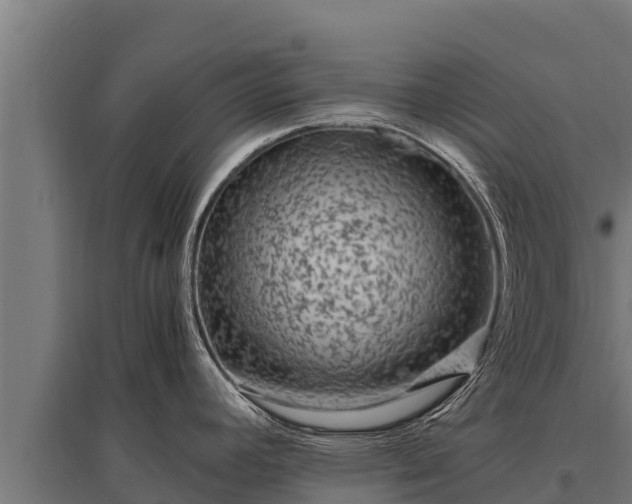 X0000095951392200801181413