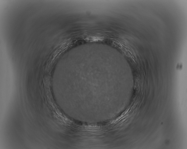 X0000095951393200801181412