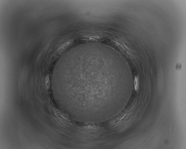 X0000095951395200801181412