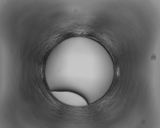 X0000095951396200801181412