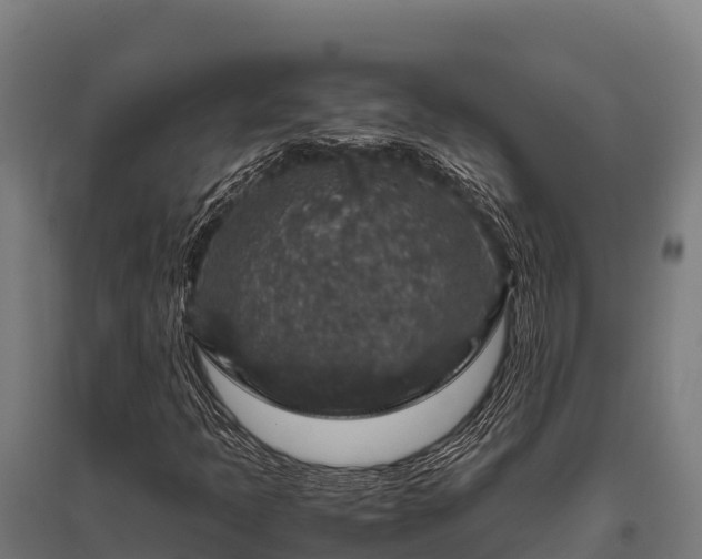 X0000095951397200801181412