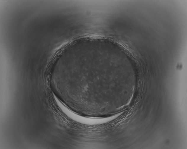 X0000095951398200801181412