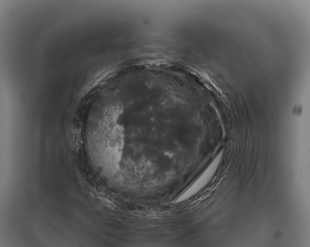 X0000095951399200801181412