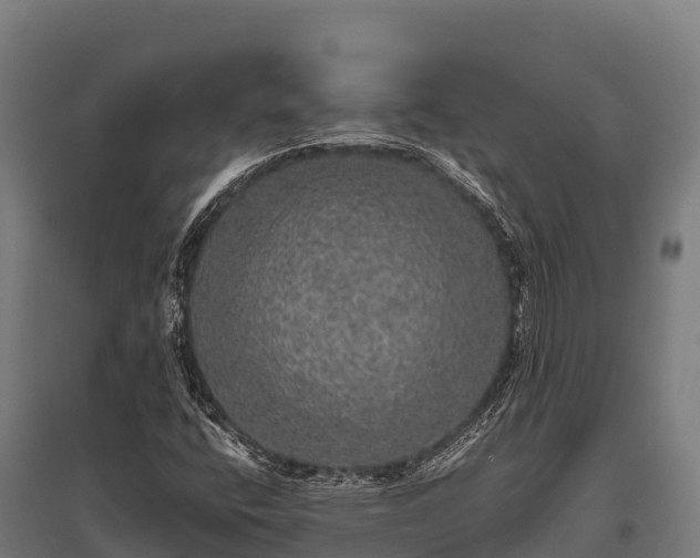 X0000095951400200801181412