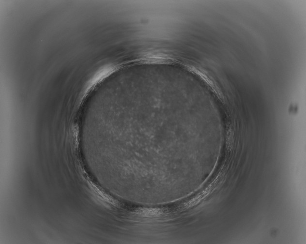 X0000095951402200801181412