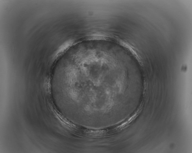 X0000095951403200801181412