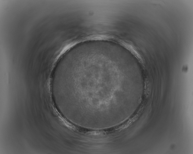 X0000095951404200801181412
