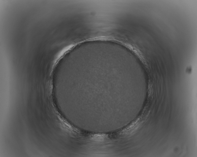 X0000095951406200801181412