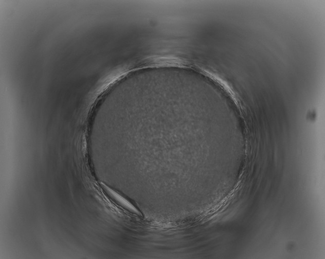 X0000095951407200801181412