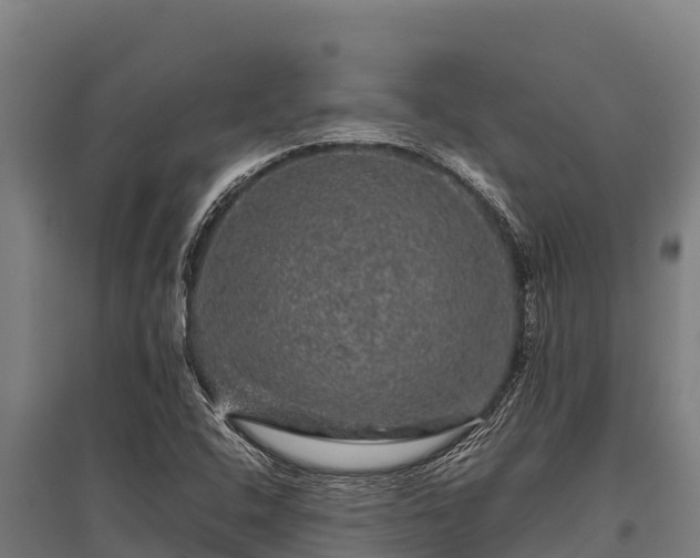 X0000095951408200801181412