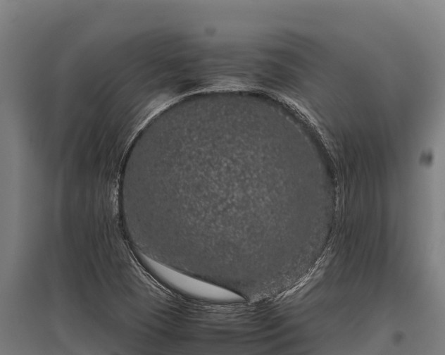 X0000095951409200801181412