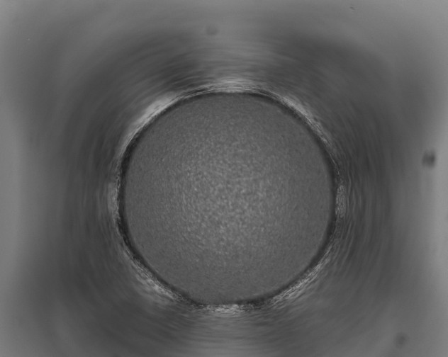 X0000095951410200801181412