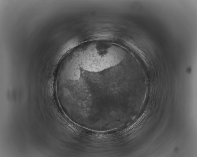 X0000095951411200801181412