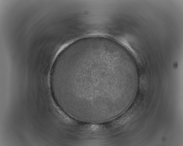 X0000095951412200801181412