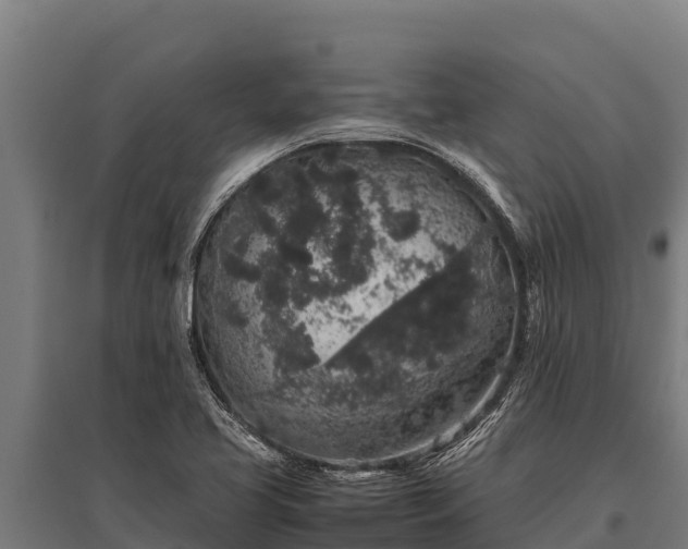 X0000095951413200801181412