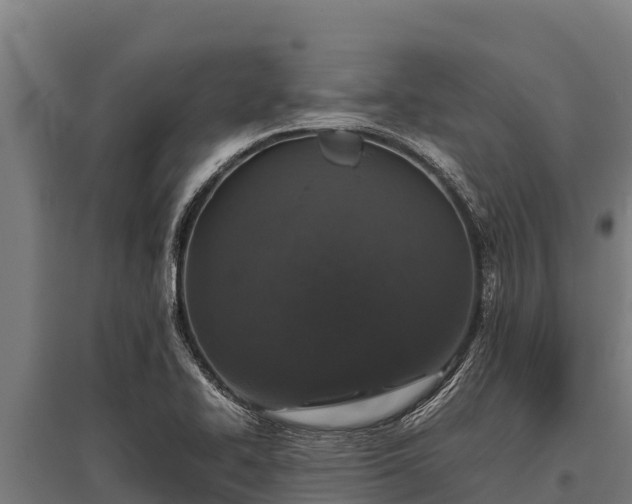 X0000095951414200801181412