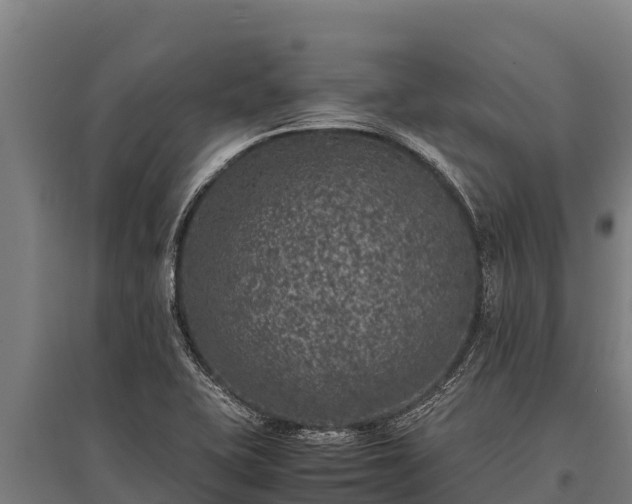 X0000095951415200801181412