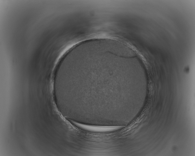 X0000095951416200801181412