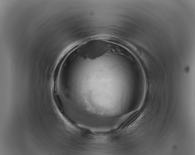 X0000095951418200801181413