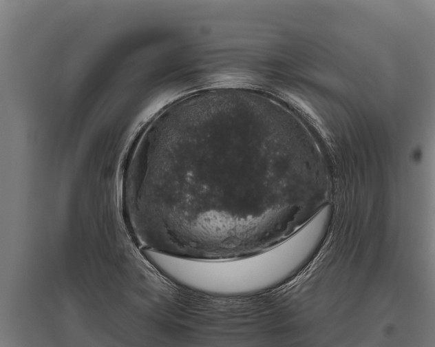 X0000095951419200801181413
