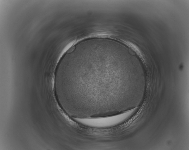 X0000095951420200801181413