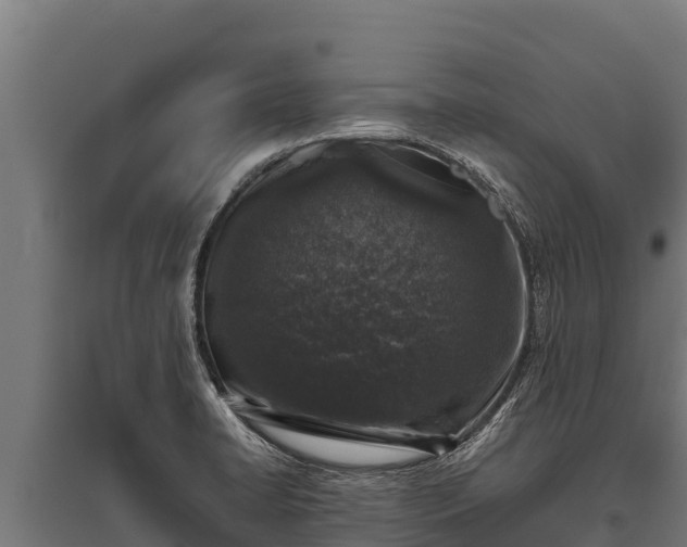 X0000095951422200801181413