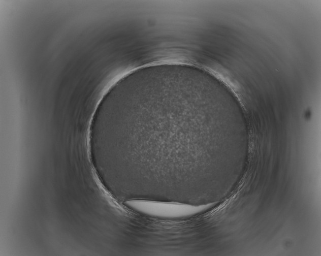 X0000095951423200801181413