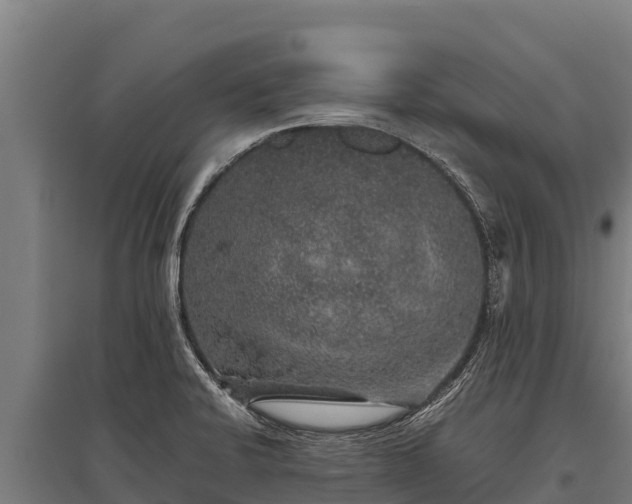 X0000095951424200801181413