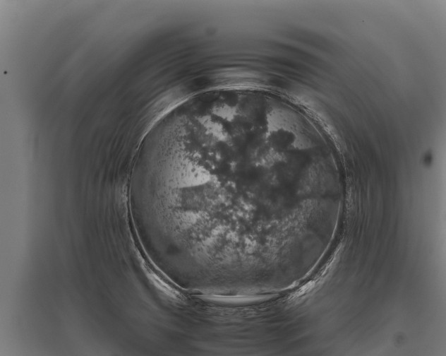 X0000095951425200801181413