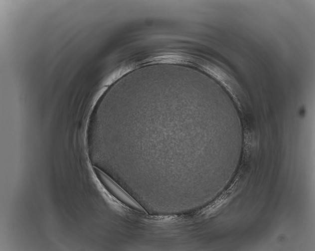 X0000095951426200801181413