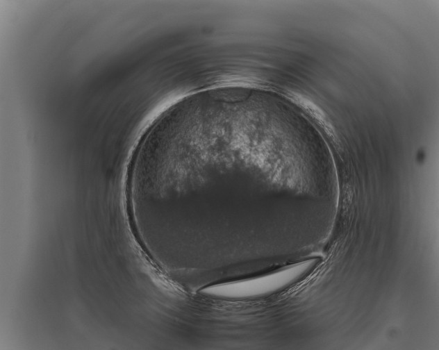 X0000095951427200801181413
